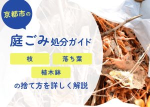 京都市の庭ごみ処分ガイド|枝・落ち葉・植木鉢の捨て方を詳しく解説